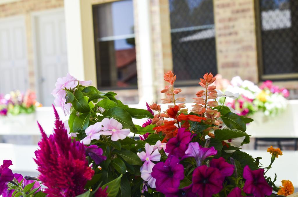 Golden Beach Motor Inn, Caloundra Luaran gambar
